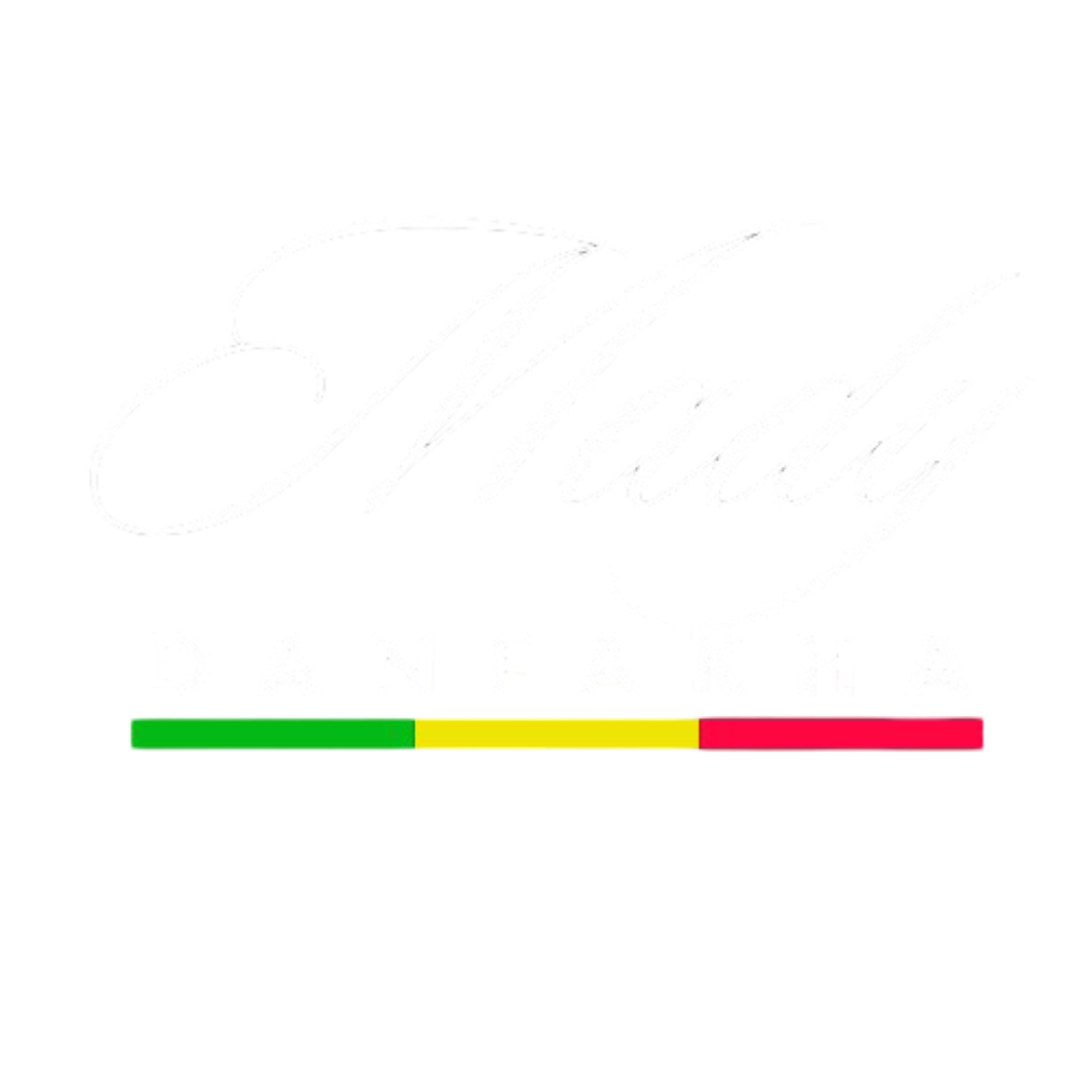 Honorable Mady DANFAKHA
